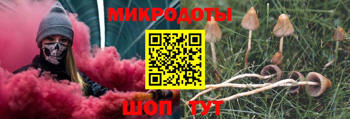 Галлюциногенные грибы Cubensis Кандалакша